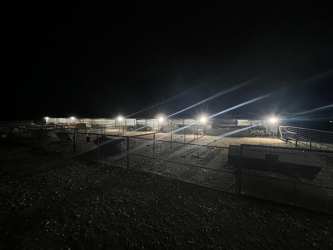 What is Wall Pack in Lighting? How High Should a Wall Pack be Mounted?