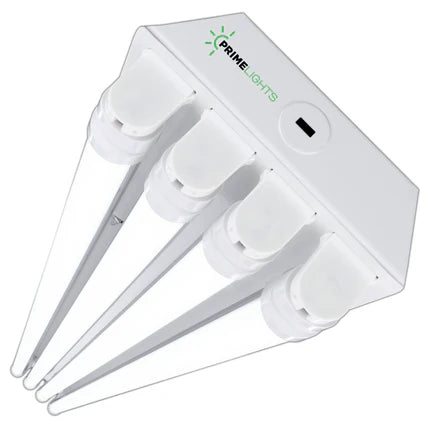 LED 4 Lamp T8 LED T8 Highbay 4XL Next-Gen LED Innovation: Sleek, Smart & Super Efficient - Frosted LEDs - Other | Energy Efficient LED by Alamo Lights - Energy Efficient | by Alamo Lights
