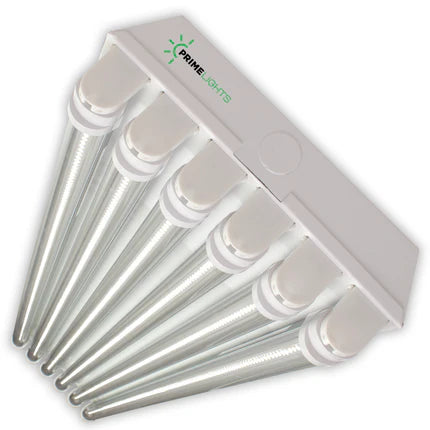 LED 6 Lamp T8 LED T8 Highbay 6XL Next-Gen LED Innovation: Sleek, Smart & Super Efficient - Clear LEDs - Other | Energy Efficient LED by Alamo Lights - Energy Efficient | by Alamo Lights