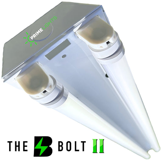 LED 2 Lamp T8 LED Strip Fixture 2 Next-Gen LED Innovation: Sleek, Smart & Super Efficient - Frosted LEDs 7,200 Lumens - General Fixtures | Energy Efficient LED by Alamo Lights - Energy Efficient | by Alamo Lights