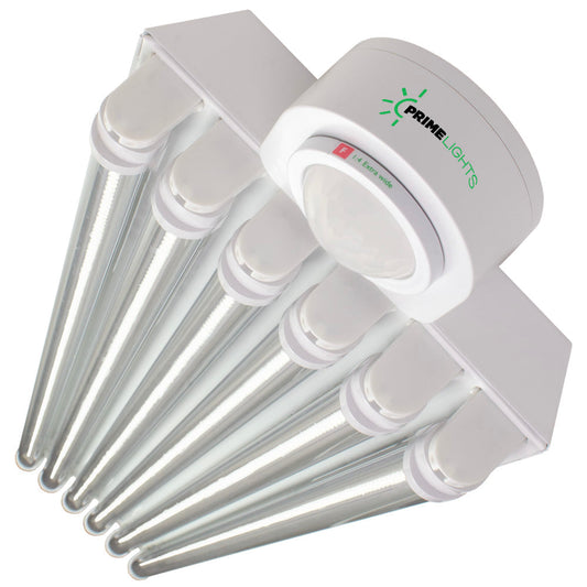 LED 6 Lamp T8 LED T8 Highbay 6XL Next-Gen LED Innovation: Sleek, Smart & Super Efficient - Clear LEDs - Motion Activated Shop Light - Shop Light | Energy Efficient LED by Alamo Lights - Utility & Garage | Energy Efficient | by Alamo Lights