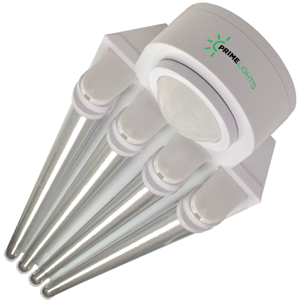 LED 4 Lamp T8 LED T8 Highbay 4XL Next-Gen LED Innovation: Sleek, Smart & Super Efficient - Clear LEDs - Motion Activated Shop Light - Shop Light | Energy Efficient LED by Alamo Lights - Utility & Garage | Energy Efficient | by Alamo Lights