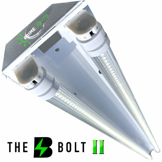 LED 2 Lamp T8 LED Strip Fixture 2 Next-Gen LED Innovation: Sleek, Smart & Super Efficient - Clear LEDs 7,200 Lumens - General Fixtures | Energy Efficient LED by Alamo Lights - Energy Efficient | by Alamo Lights